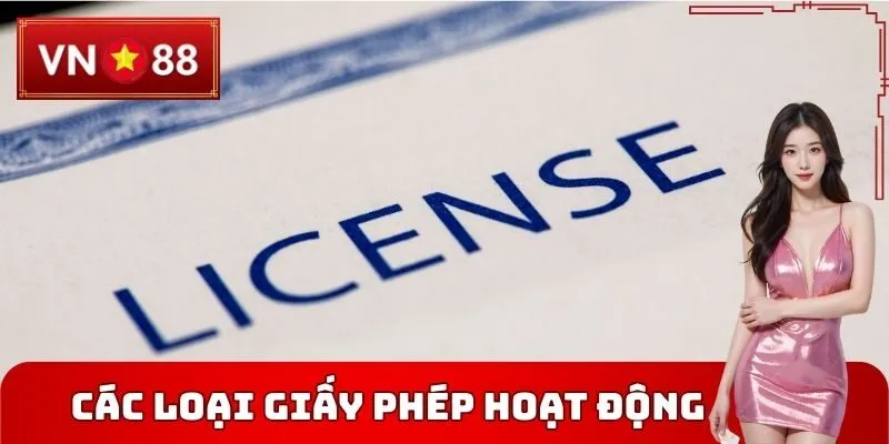 Các loại Giấy phép hoạt động VN88 phổ biến