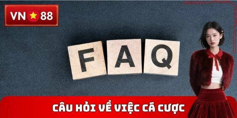 Câu hỏi thường gặp VN88 về việc cá cược
