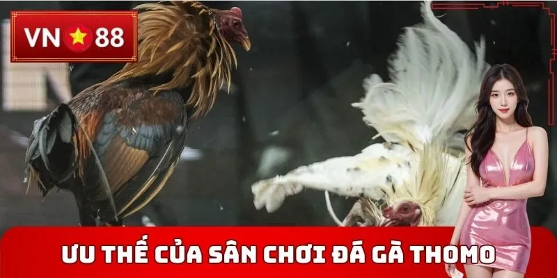Ưu thế của sân chơi Đá gà thomo VN88